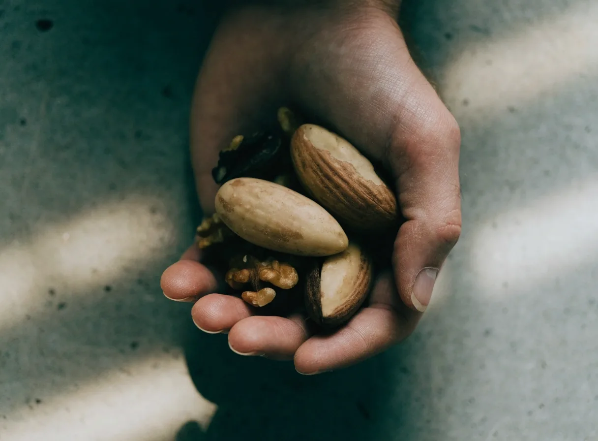 Three Brazil nuts and walnut halves held in an open hand
